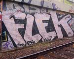 FLEK