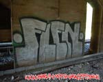 FLEN