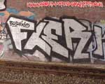 FLER