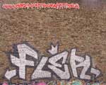 FLER