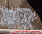 FLER