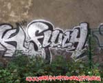 FLUCH