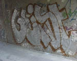 GEIST