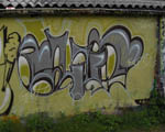 GLuT