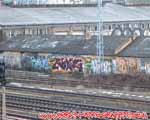 Gone (FRIEDRICHSHAIN)