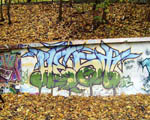 HEST