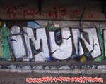 IMUN