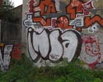 INSA