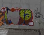 INSA