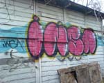 INSA