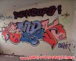 JOEK