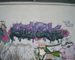 JOEK