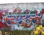 JOEK