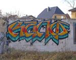 KANO