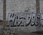 KATDOG