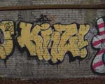 KINS