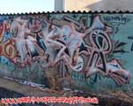 Kish