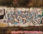 Kish