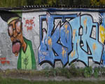 KOAR