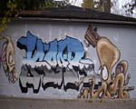 KOAR
