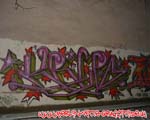 KRIPO