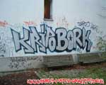 KRIPO