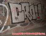 Kroy