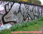 Kroy