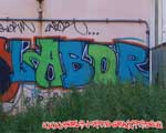 LABOR