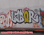 LABOR