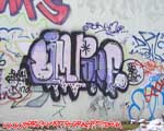 LIMP