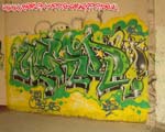 MESD