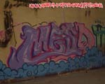 MESD
