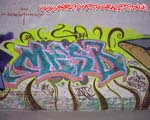MESD