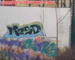 MESD