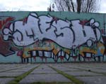 MESD