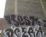 MESD