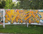 MESD