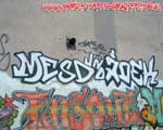 MESD