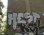 MESD
