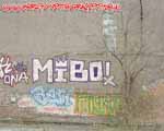 MIBO