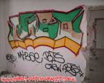 MIBO