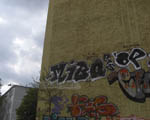 MIBO