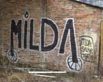 MILDA