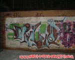 MILIOE