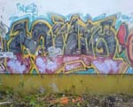 MILIOE