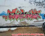 MILIOE
