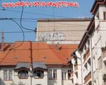 MILIOE