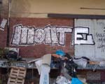 MONTE