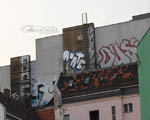 MONTE